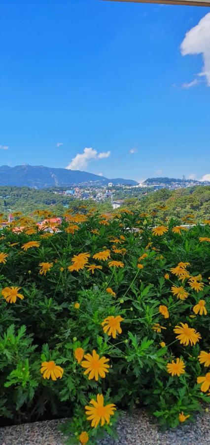 Jcga Apartments At Bristle Ridge Condominium Near Botanical Garden And The Mansion Baguio City Bagian luar foto
